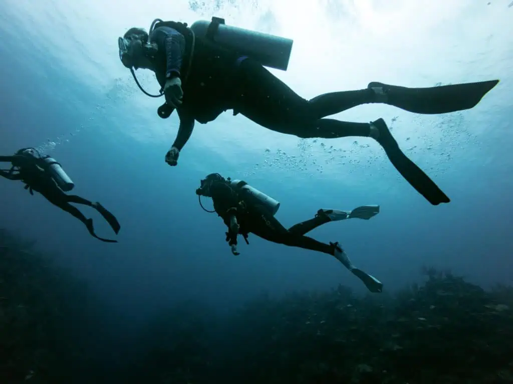 Underwater diving scene